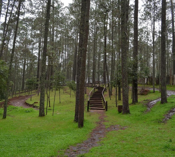 Rancho Nuevo