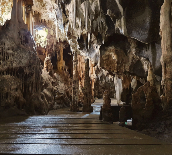 Cueva del Mamut